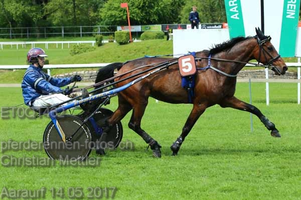 ET0Q1462 prot